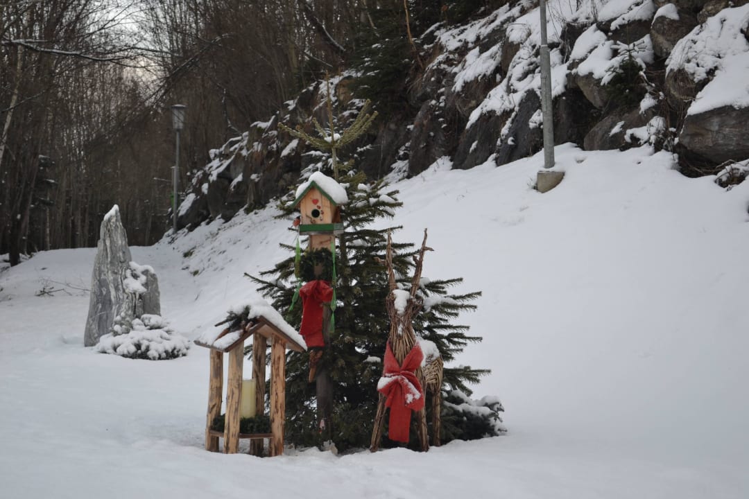 Sogar um die Vögelchen wird sich gekümmert Hotel AlpenSchlössl