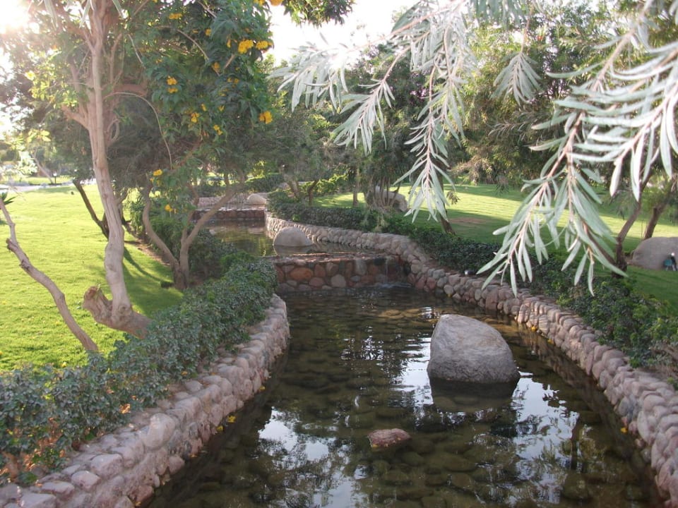 Bachlauf  im Park JAZ Belvedere Resort