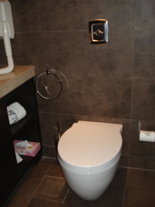 Toilette  Hotel Theartemis Palace