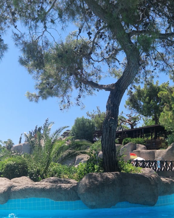Pool Blue Waters Club
