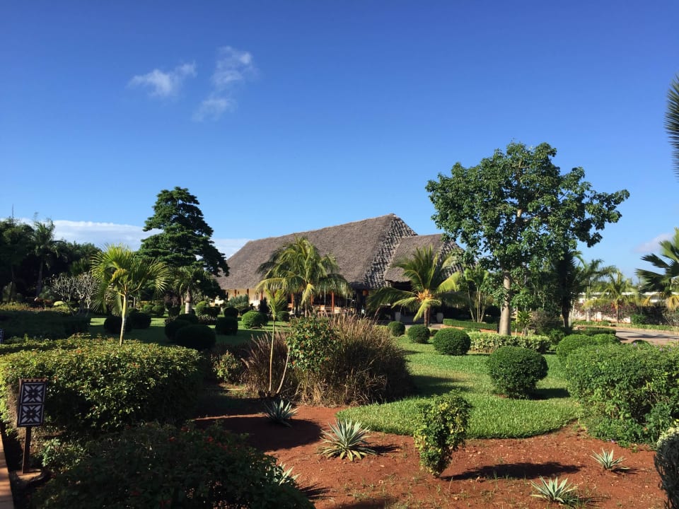 Der Garten vor der Rezeption TUI Blue Bahari Zanzibar