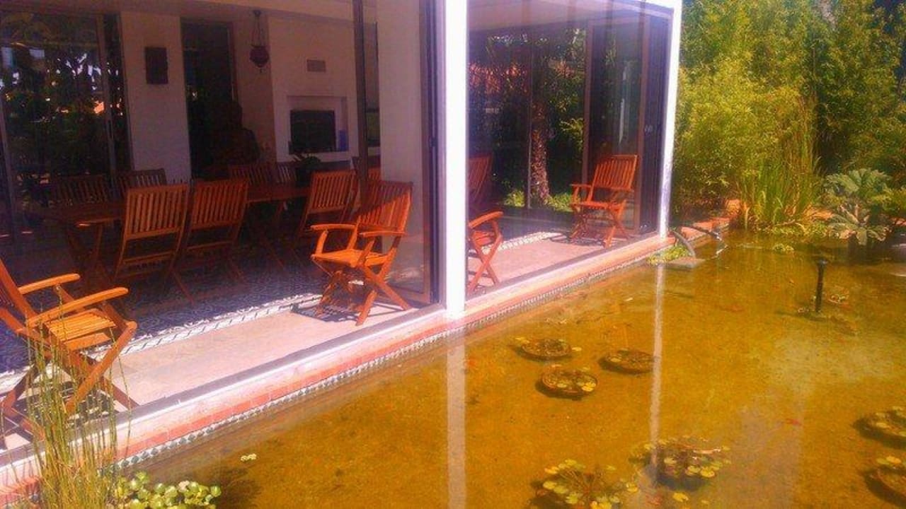 Koi Teich Bed & Breakfast Casa Da Palmeirinha