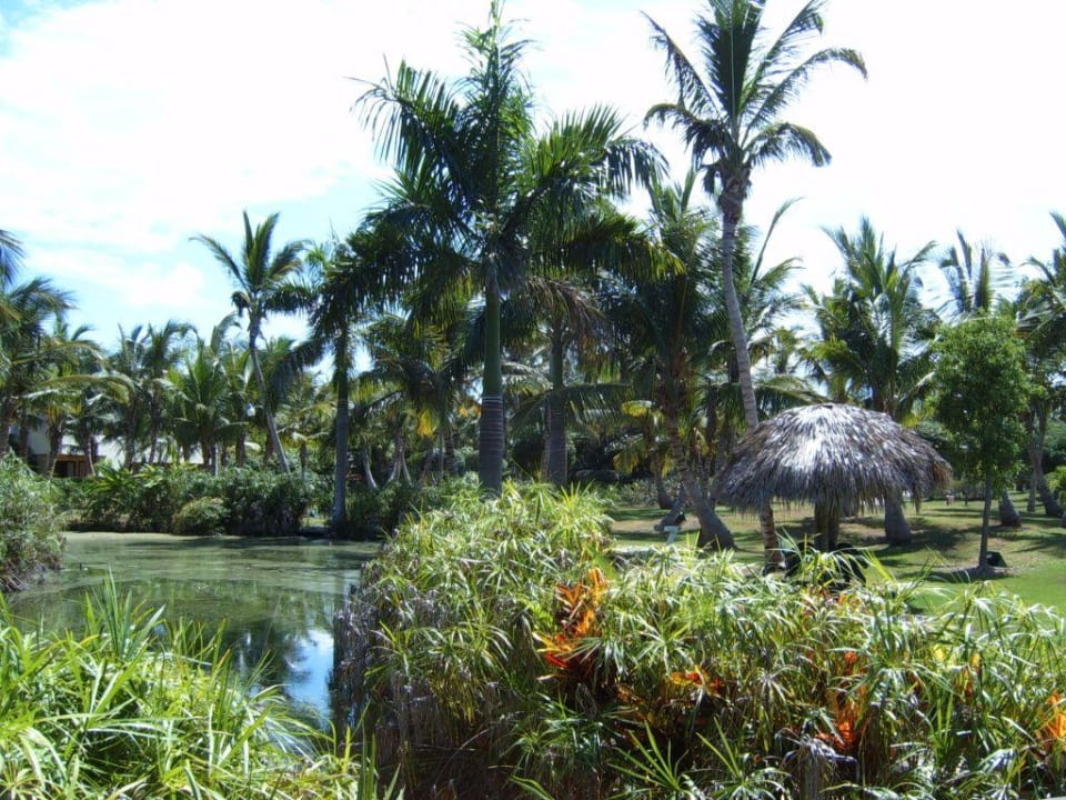 Gartenanlage Catalonia Punta Cana - All Inclusive