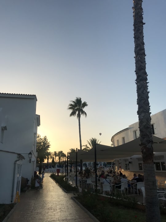 Gastro Globales Bouganvilla