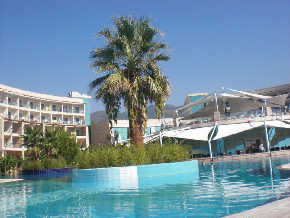 Pool Paloma Pasha