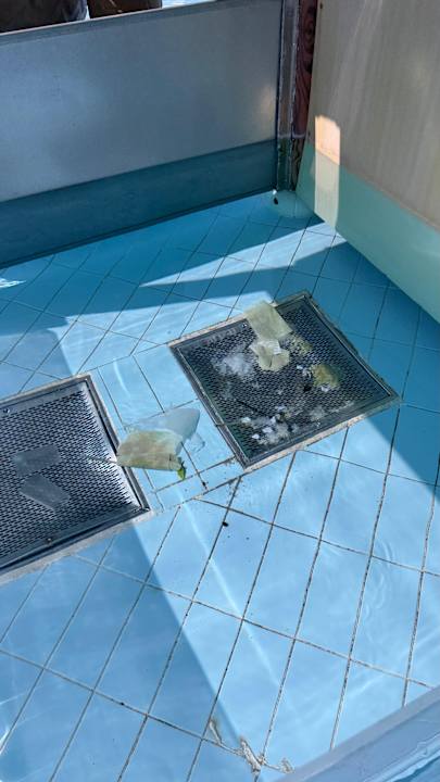 Pool Asterias Beach Resort