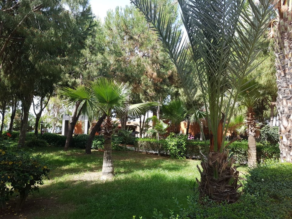 Sauber und die Zimmermädchen dekorieren die Betten Club Turtas Beach Hotel