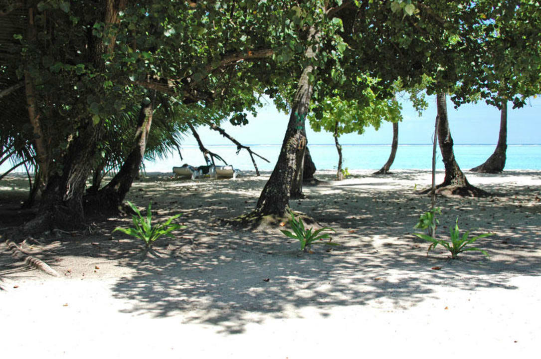 Meeru 2005 Meeru Maldives Resort Island