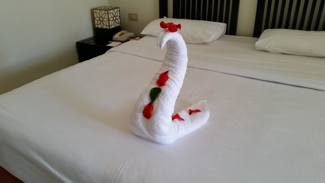 Schwan SENTIDO Reef Oasis Resort
