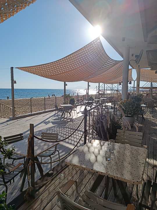 Strand Seashell Vega