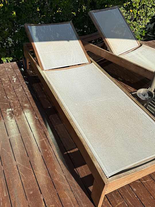 Pool Acanthus Cennet Barut Collection