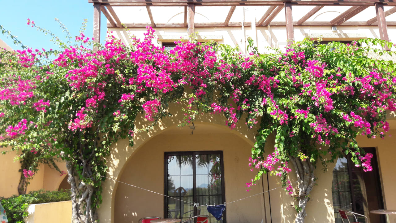 Zimmer Porto Bello Beach