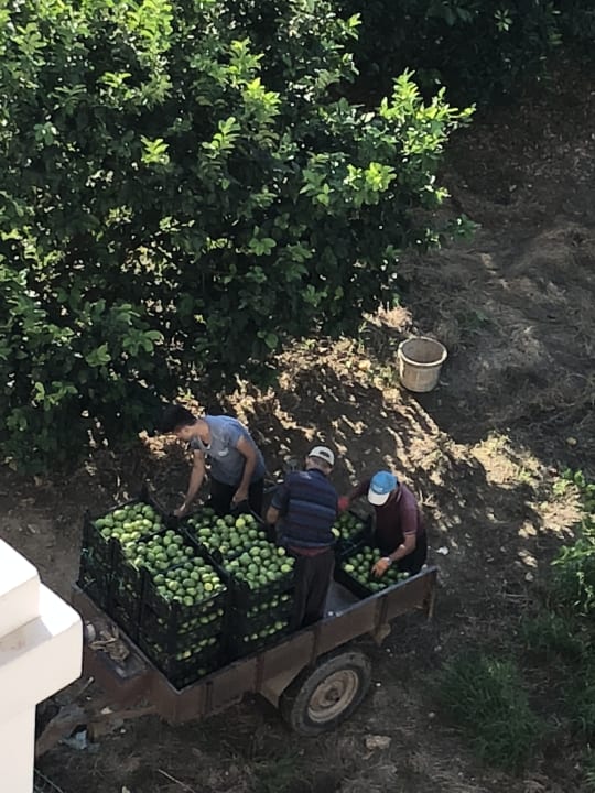 Sonstiges Haydarpasha Palace