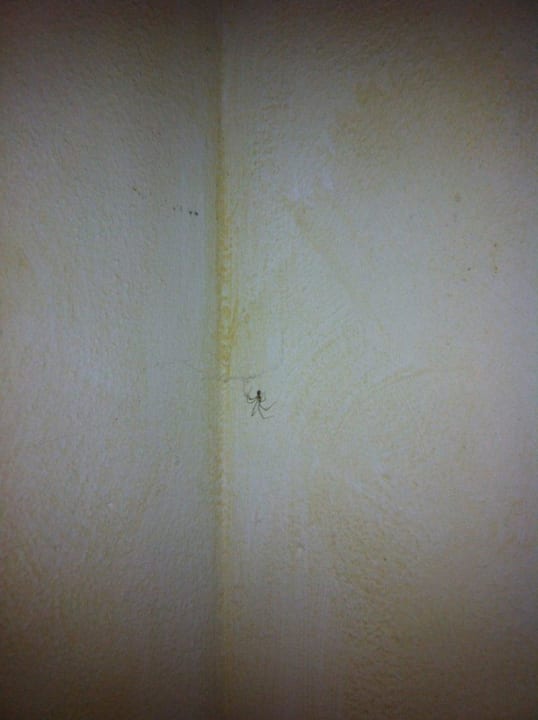 Mehrere große Tiere bei der Ankunft Country House Bosco Lazzeroni