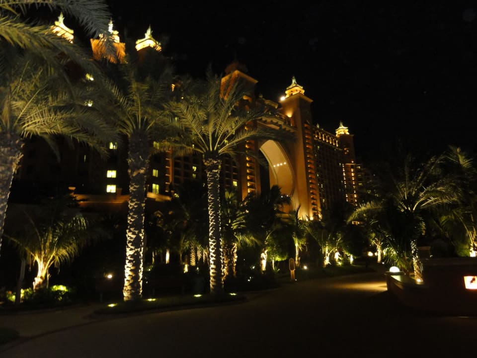 Bei Nacht Atlantis, The Palm