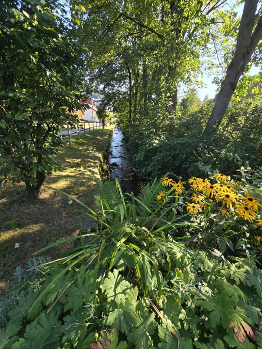 Gartenanlage Familotel Mein Krug