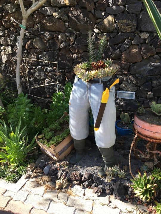 Gartenanlage Apartments Quinta De Santana