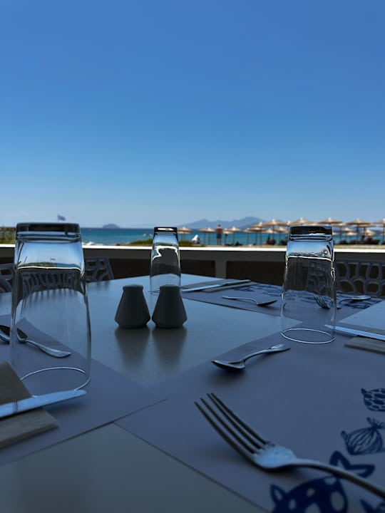 Gastro Porto Bello Royal