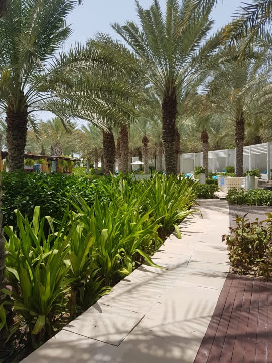 Gartenanlage Rixos The Palm Hotel & Suites