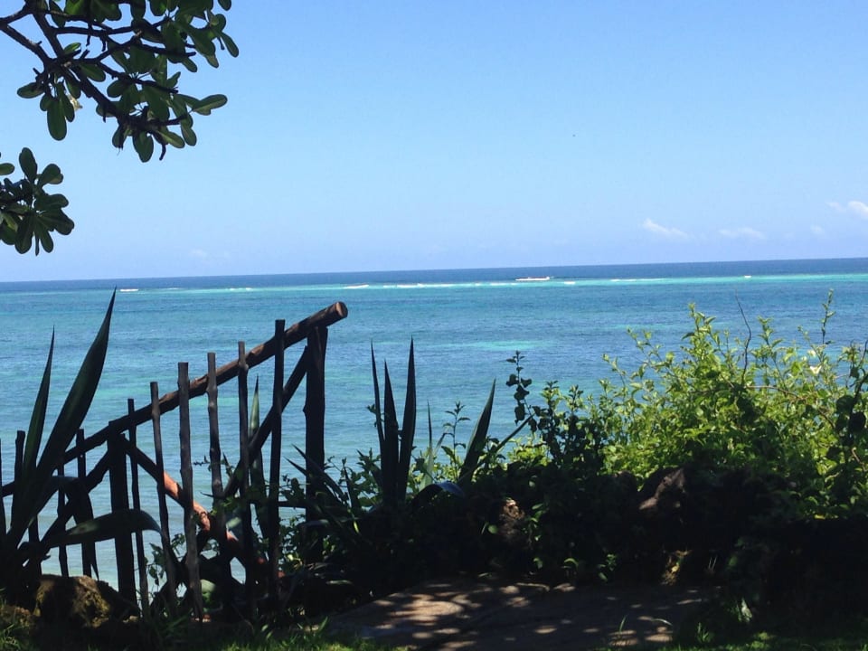 Ausblick von der Liege Baobab Beach Resort & Spa
