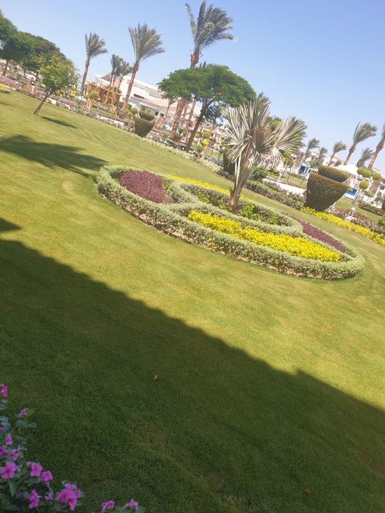 Gartenanlage Pickalbatros Dana Beach Resort - Hurghada