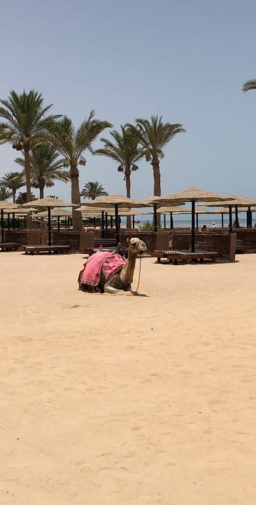 Strand Golden Beach Resort