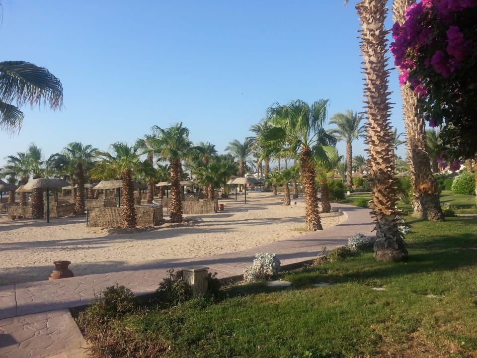 Gartenanlage Lotus Bay Beach Resort