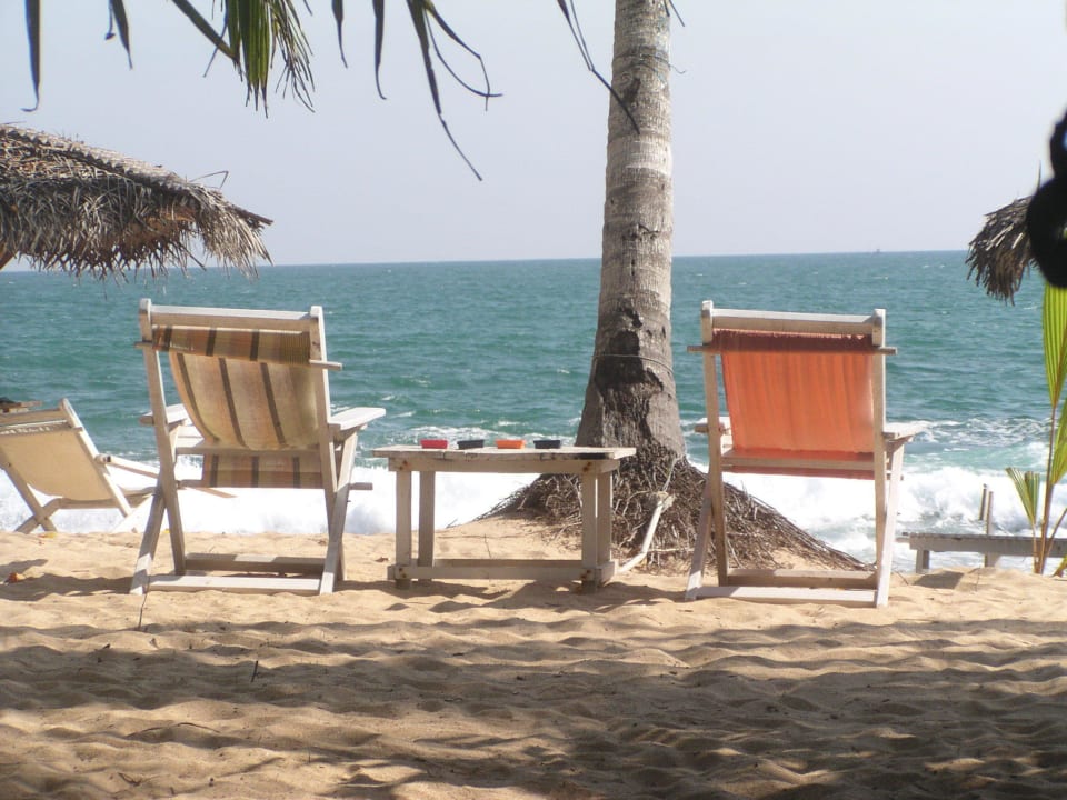 Ibis-Garten Ibis Guesthouse