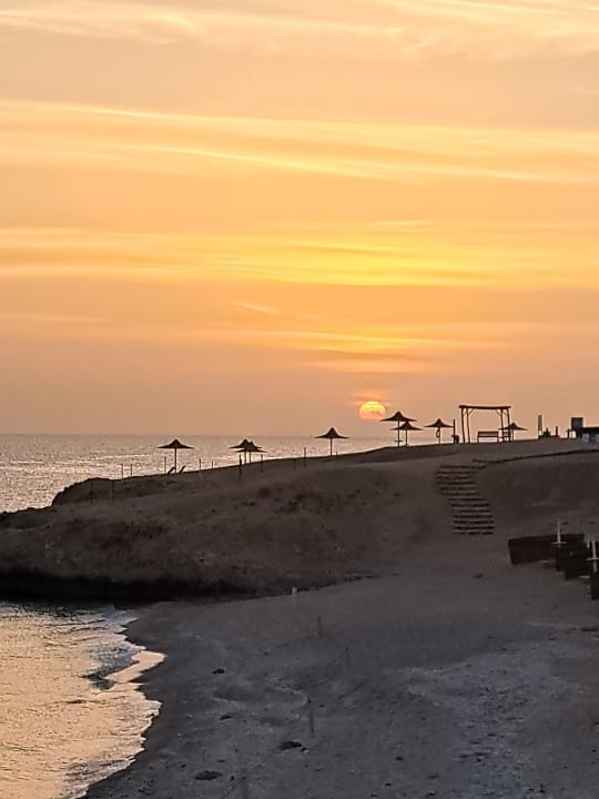 Strand Jaz Solaya