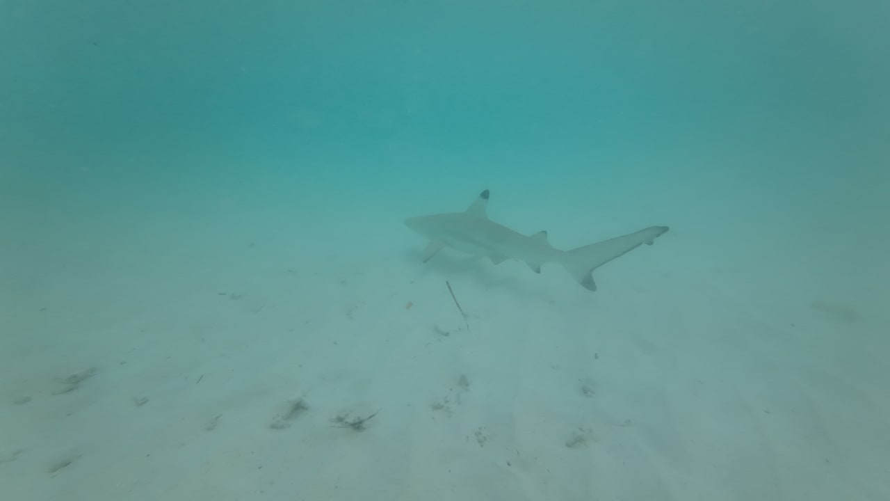 Strand OBLU XPErience Ailafushi