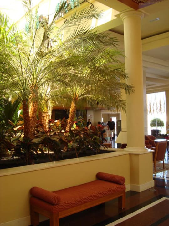 Toll gepflanzt PortoBay Blue Ocean