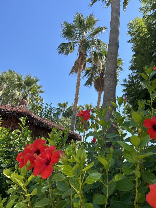 Gartenanlage VONRESORT Golden Coast