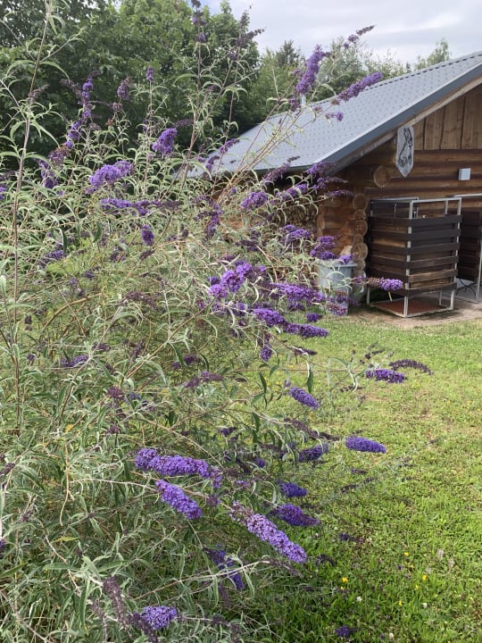 Außenansicht Menschels Vitalresort