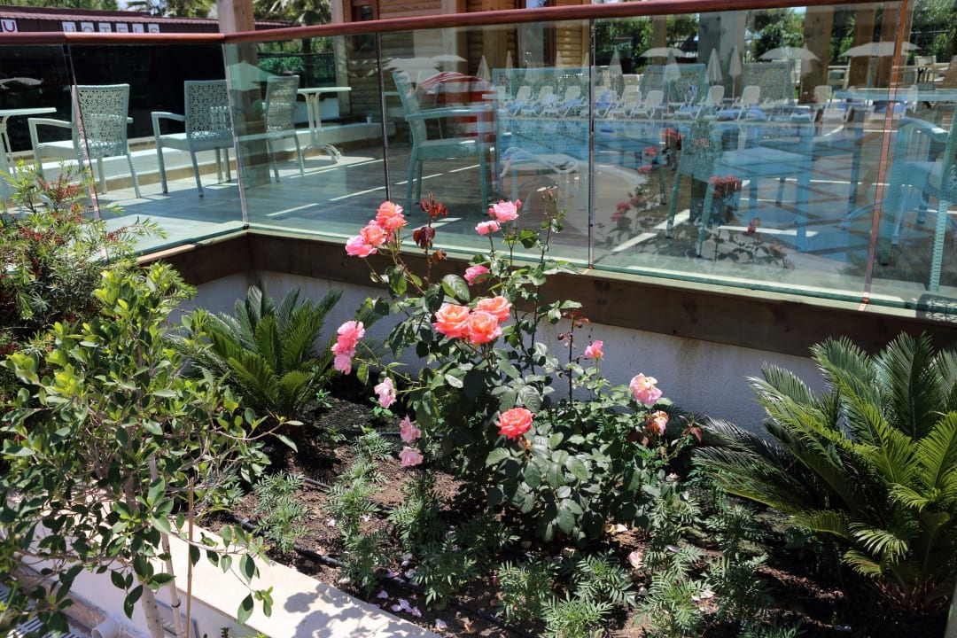 Poolbar Sentido Trendy Verbena Beach