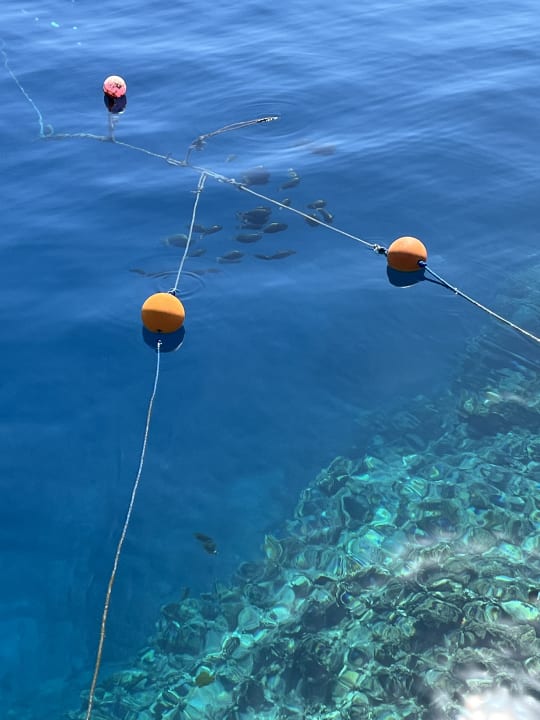 Strand Steigenberger Coraya Beach - Adults only