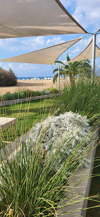 Strand Grecotel LUXME Costa Botanica