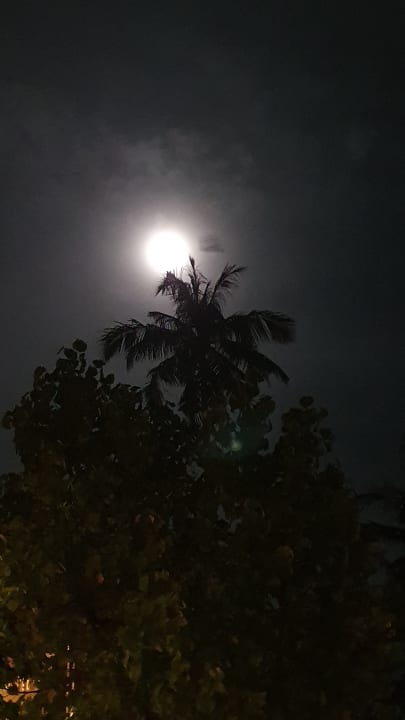 Ausblick Adaaran Club Rannalhi - All Inclusive