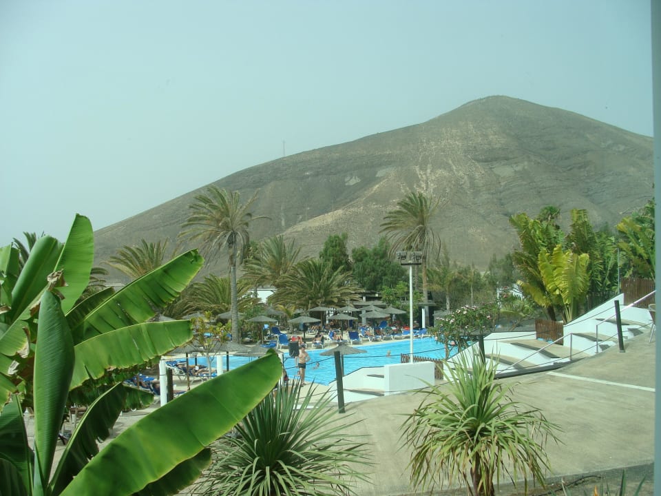 Blick von der Dachterrasse allsun App.-Hotel Esquinzo Beach