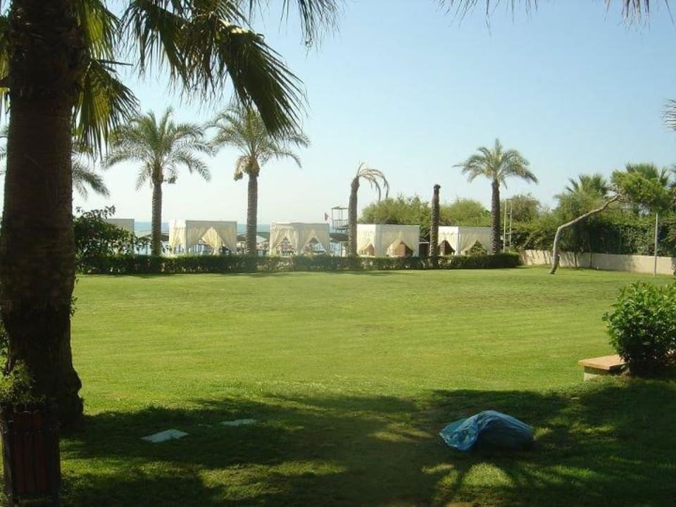 Fußballfeld Papillon Ayscha