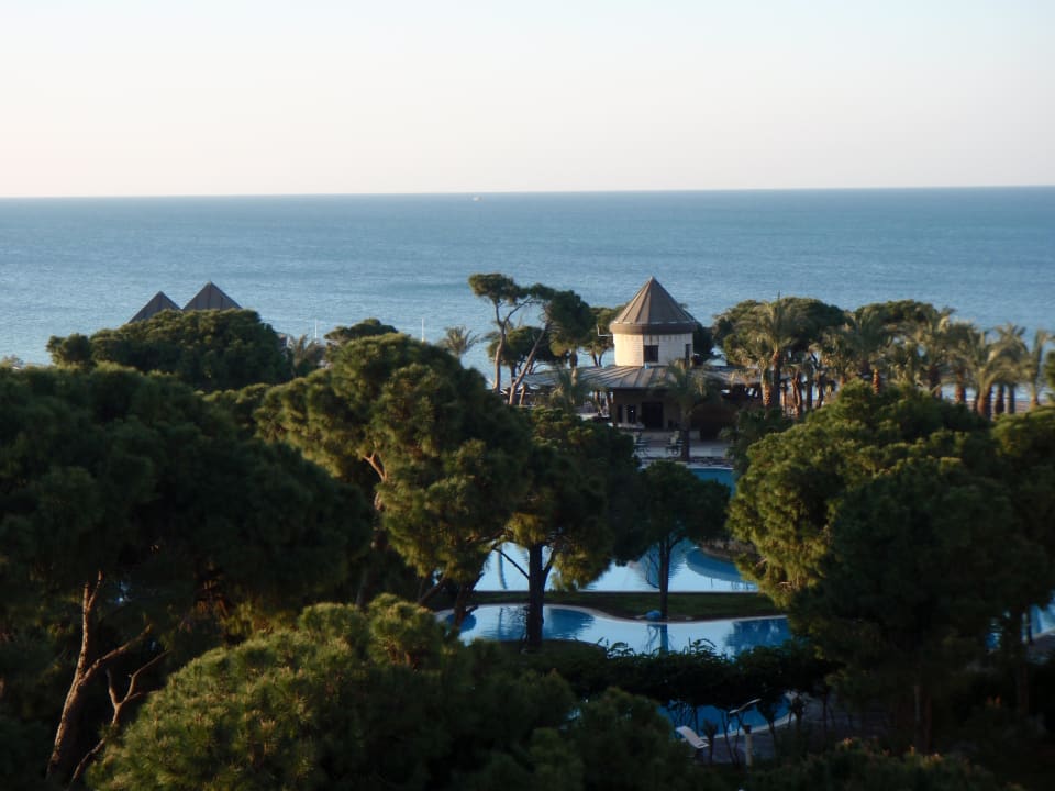 Vom Zimmer aus der Blick Papillon Ayscha