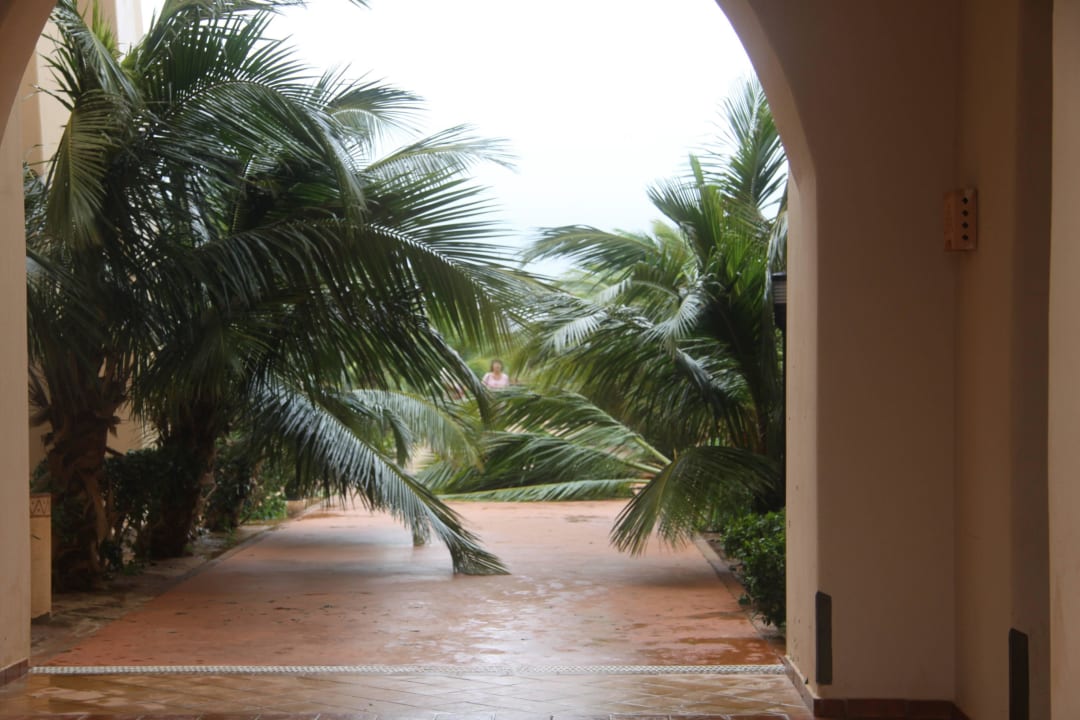 Nach dem Hurrikan Hotel Riu Touareg