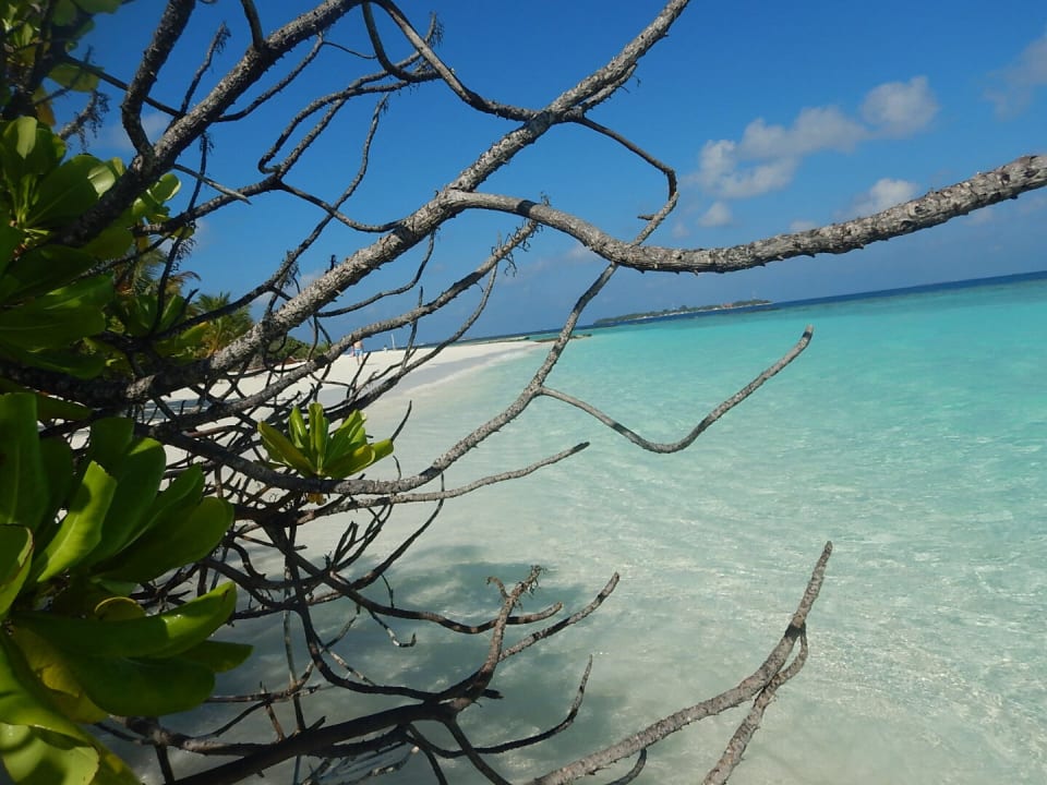 Meedhupparu Adaaran Select Meedhupparu Island Resort - Premium All Inclusive