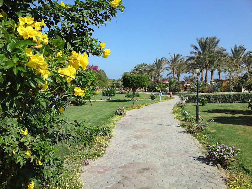 Im Hotelgarten Brayka Bay Resort