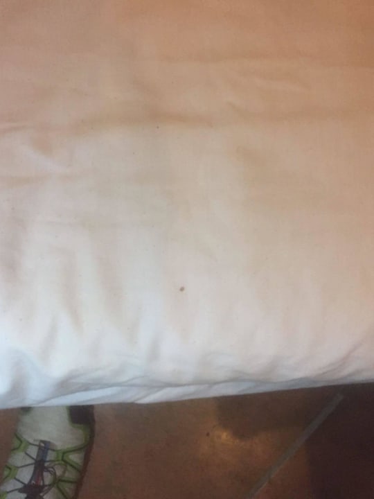 Schrecklich Three Corners Sea Beach Resort