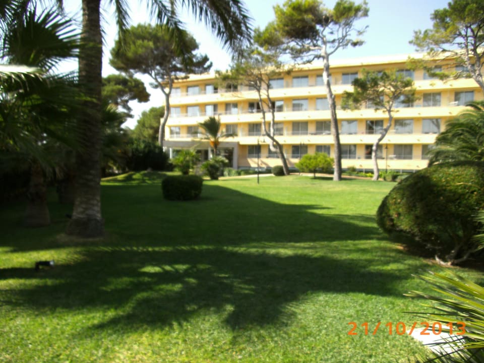 Blick vom Pool Grupotel Natura Playa