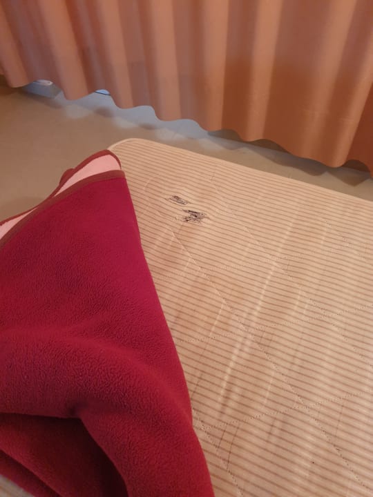 Zimmer Apollon Hotel