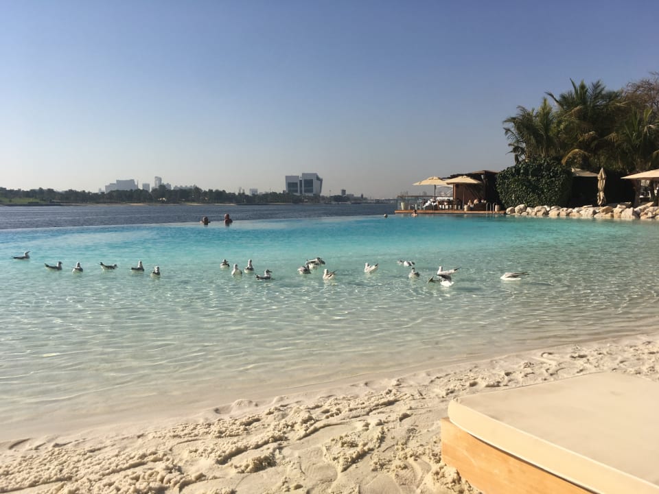 Pool Grand Hyatt Dubai