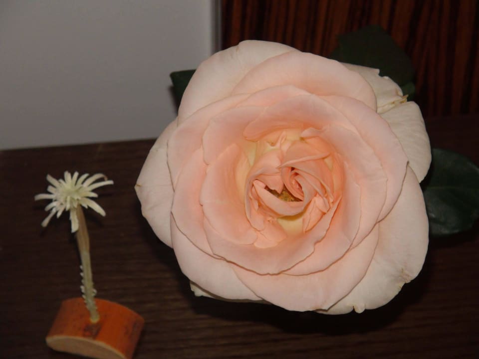Ein Geschenck El Mehdi Beach Resort