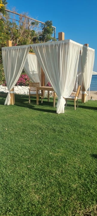 Gartenanlage Fort Arabesque Resort, Spa & Villas