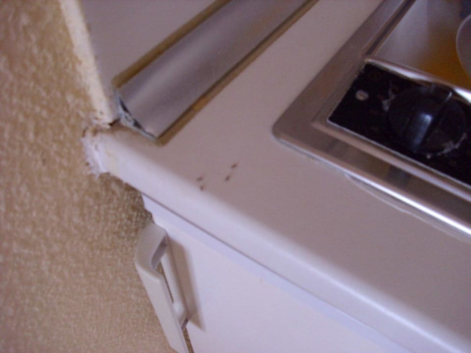 Ameisen überall Barceló Portinatx - Adults only